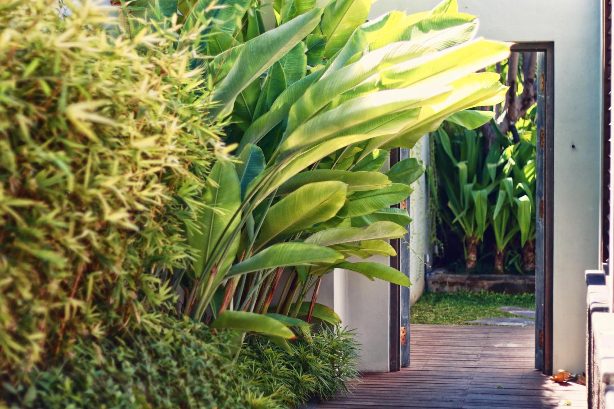 Hu'U Villas เซมินยัค ห้อง รูปภาพ